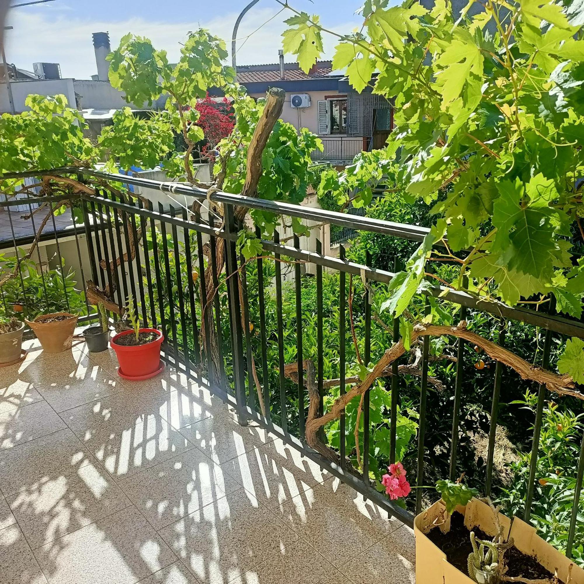 Janas House Leilighet Bari Sardo Eksteriør bilde